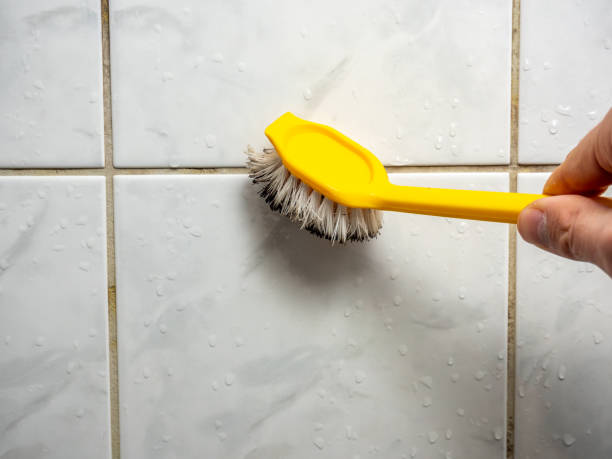 Trusted Effingham, IL Mold Removal Experts