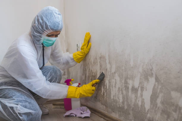 Water Damage Restoration in Effingham, IL