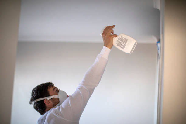 Best Water Damage Restoration  in Effingham, IL
