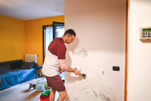 Best Attic Mold Removal  in Effingham, IL